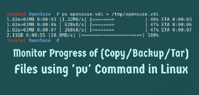 linux command pv