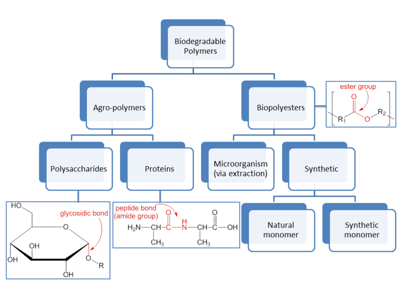 Polymers: what are they and what are their applications?
