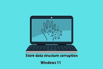store data structure corruption in windows 11