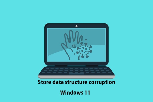 store data structure corruption in windows 11